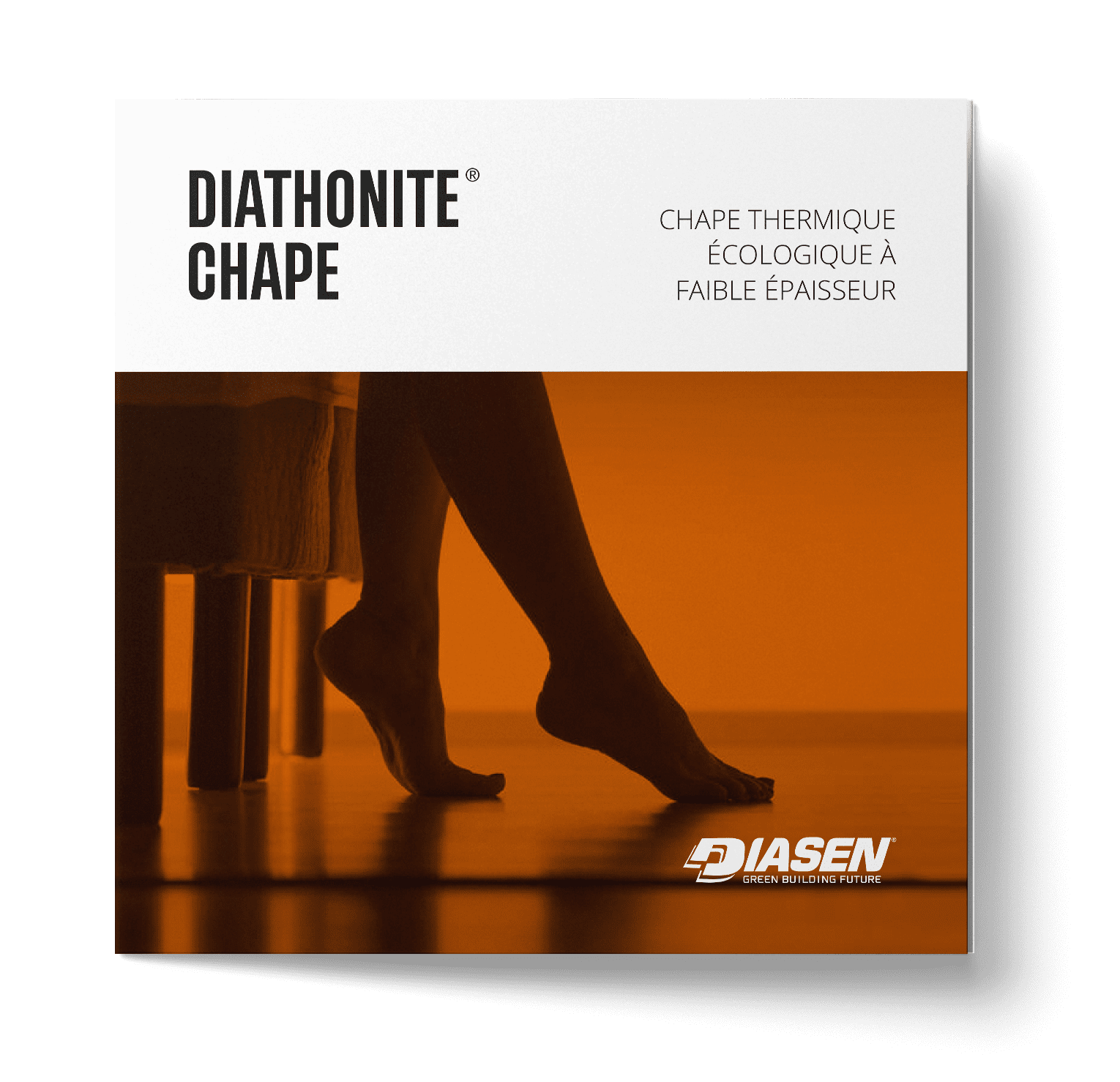 DIATHONITE-MASSETTO - -FR